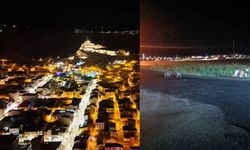 Anne ayı ve yavruları, gece yarısı şehir turunda!
