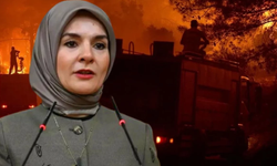 Bakan Göktaş duyurdu: Yangınlardan etkilenen hanelere 10 milyon lira destek
