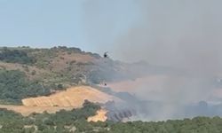Balıkesir’de orman yangını: Havadan müdahale ediliyor