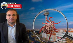 Başkentte zehirli kene tehlikesi: ABB’ye binlerce başvuru yağdı