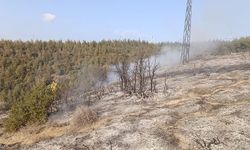 Hatay Belen’de ormanlık alanda yangın çıktı