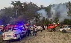 Bolu’daki orman yangını kontrol altına alındı