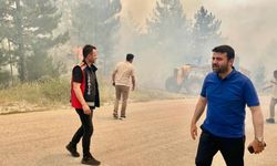 Karabük tarihinin en büyük yangınıyla mücadele sürüyor