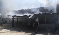 Çıkan yangında ev sahibini, mahalleli kurtardı!