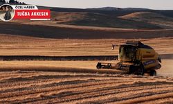 Çubuk’ta devam eden buğday hasadı havadan görüntülendi