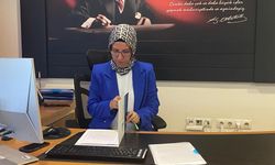 Danışman Bilgi Sistemi İŞKUR tarafından yürütülmeye başladı