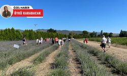 Doğadan sanata uzanan şifa yolculuğu: Aromaterapi Festivali'ne yoğun ilgi