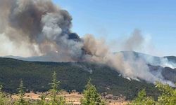 Eskişehir'deki yangın tüm müdahalelere rağmen büyümeye devam ediyor!