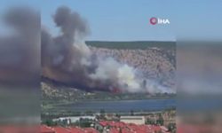 Eymir Gölü'nün çevresindeki ormanlık alanda yangın çıktı