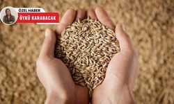 Hasat başladı, borsa canlandı! Polatlı Ticaret Borsası’nda haziran hareketliliği