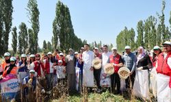 Gönüllü gençlerden Türkiye'nin tarımsal üretimine destek