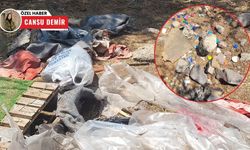 Alparslan Türkeş Hatıra Ormanı bakımsız kaldı