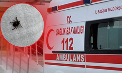 Keneye bir kurban daha! Aynı mahallede 3'üncü ölüm