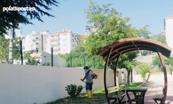 Kızılcahamam'da yeşil seferberlik