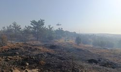 Mersin'de orman yangını! Havadan ve karadan müdahale sürüyor