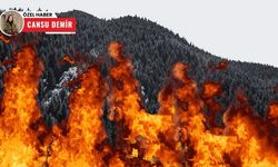 'Cennet Vatan'ın cenneti kayboluyor: 80 bin hektardan fazlası yandı!