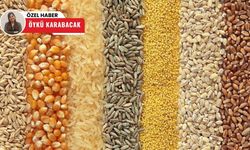 Haftalık veriler açıklandı! Polatlı Ticaret Borsası'nda dikkat çeken hareketlilik