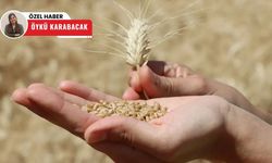 Polatlı Ticaret Borsası'nda fiyatlar dalgalı, işlem hacmi düşüşte