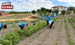 Polatlı Ülkü Ocakları'ndan sürdürülebilir tarıma destek
