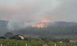 Sakarya’da orman yangınına çok sayıda helikopter ve uçakla müdahale ediliyor!