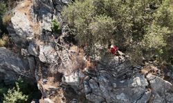 Ormanda kaybolan Rus turist ekipler tarafından kurtarıldı