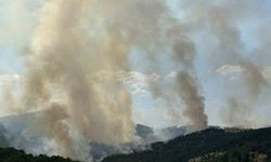Uşak’taki orman yangınına müdahale devam ediyor