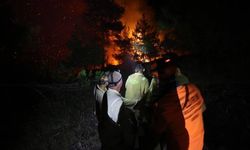Bursa'daki orman yangınına müdahale eden itfaiye erinden acı haber!