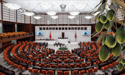Zeytinlikler için kritik karar: İlk 11 madde kabul edildi!
