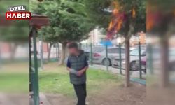 Polatlı'da ağaçları yakmışlardı: Verilen ceza belli oldu