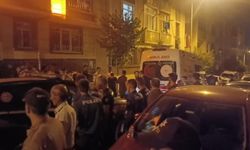 Aile içi facia: Annesini başından vurdu