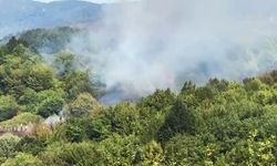 Amasra’da orman yangını: Ekipler alevlere müdahale ediyor