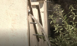 Ankara'da sızan şebeke suyu, mahalleliyi çileden çıkardı