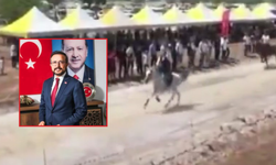 At yarışı festivalinde feci kaza! AK Partili isim attan düştü