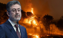 Bakan Yumaklı: “Yangınların yüzde 90’ı insan kaynaklı”