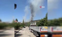 Balâ’da orman yangını çıktı!