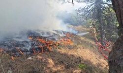 Bolu’daki orman yangınına havadan ve karadan müdahale sürüyor