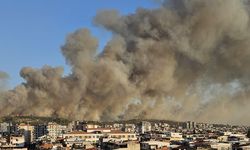 İzmir Buca’da orman yangını!