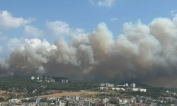Çanakkale ve İzmir’deki yangınlar kontrol altına alındı!