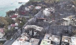 Çanakkale’deki yangının acı bilançosu sabah saatlerinde görüntülendi