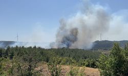 Çanakkale’de yine orman yangını çıktı! Ekipler müdahale ediyor