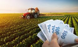 Çiftçilere 772 milyon lira destek ödemesi yapılacak