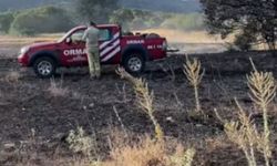 Çubuk’ta anız yangını korkuttu