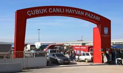 Şap hastalığı kontrol altında: Çubuk Canlı Hayvan Pazarı yeniden açılıyor