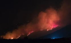 Denizli’deki orman yangını kontrol altına alındı