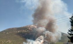 Denizli’de orman yangınına havadan ve karadan müdahale ediliyor