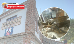 Dünyanın ‘’en büyük deniz kaplumbağası’’ Tahtakuşlar Köyü’nde sergileniyor