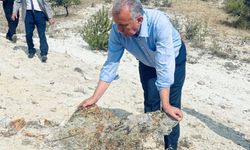Çamlıdere’deki Fosil Orman Alanı turizme kazandırılıyor