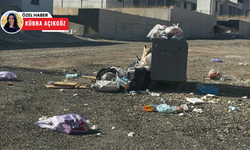 Haftada bir toplanan çöp, mahalleliyi çileden çıkardı!