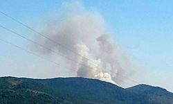 Karabük’te ormanlık alanda yangın çıktı!