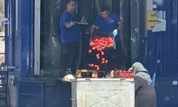 Kasalarca domates çöpe dökülmüştü! Bakanlıktan açıklama geldi